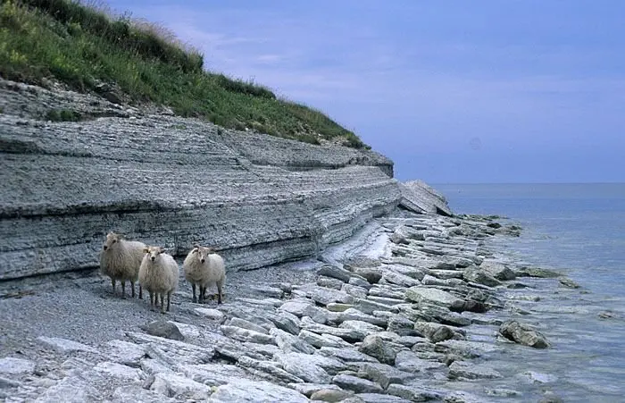 Image credit: Wikipedia | Tõnis Saadre