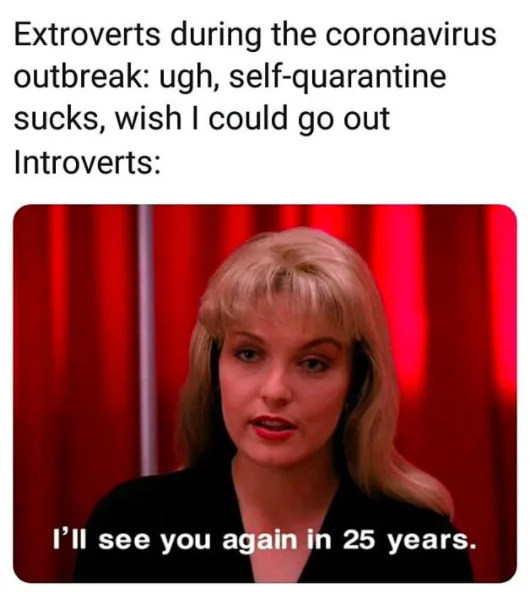 Image credit: Instagram l @cinephile.memes