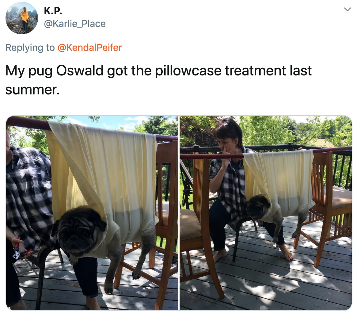 Image credit: Twitter | @Karlie_Place
