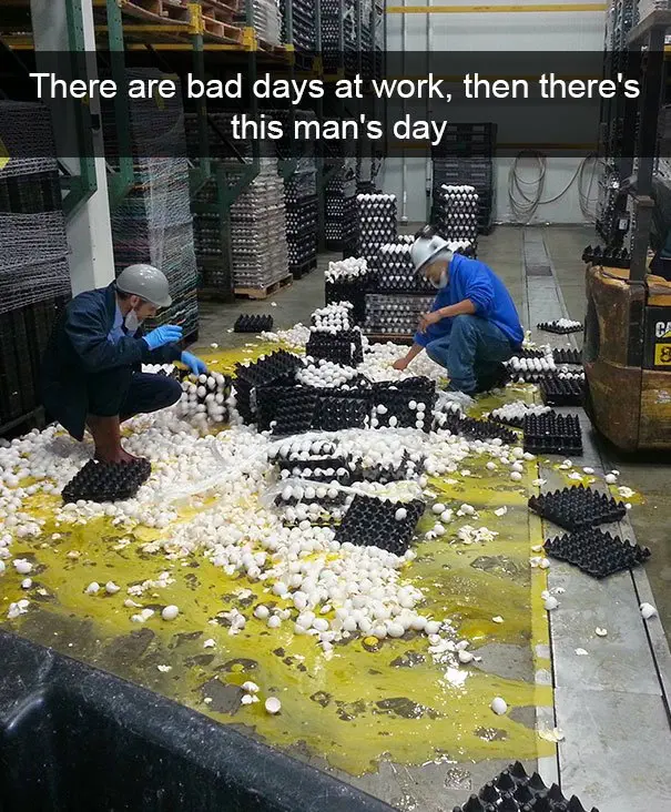 Image credit: Reddit | Cuccacaali