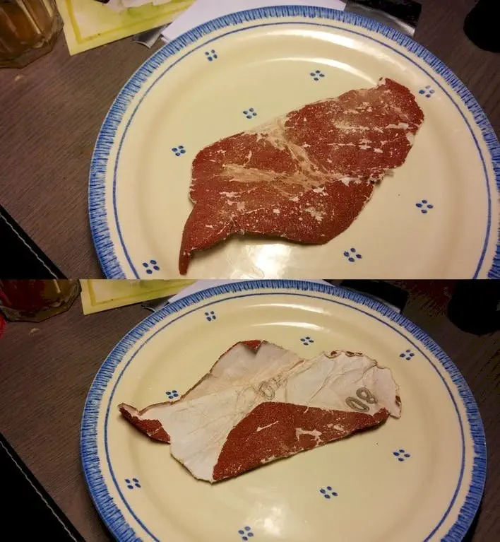 Image credit: Reddit | StefanodesLocomotivo