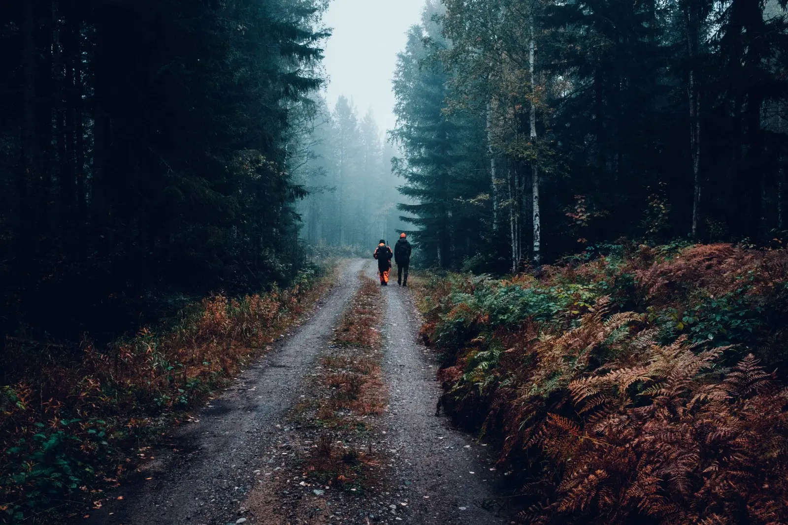 Image credit: Unsplash | Fredrik Öhlander