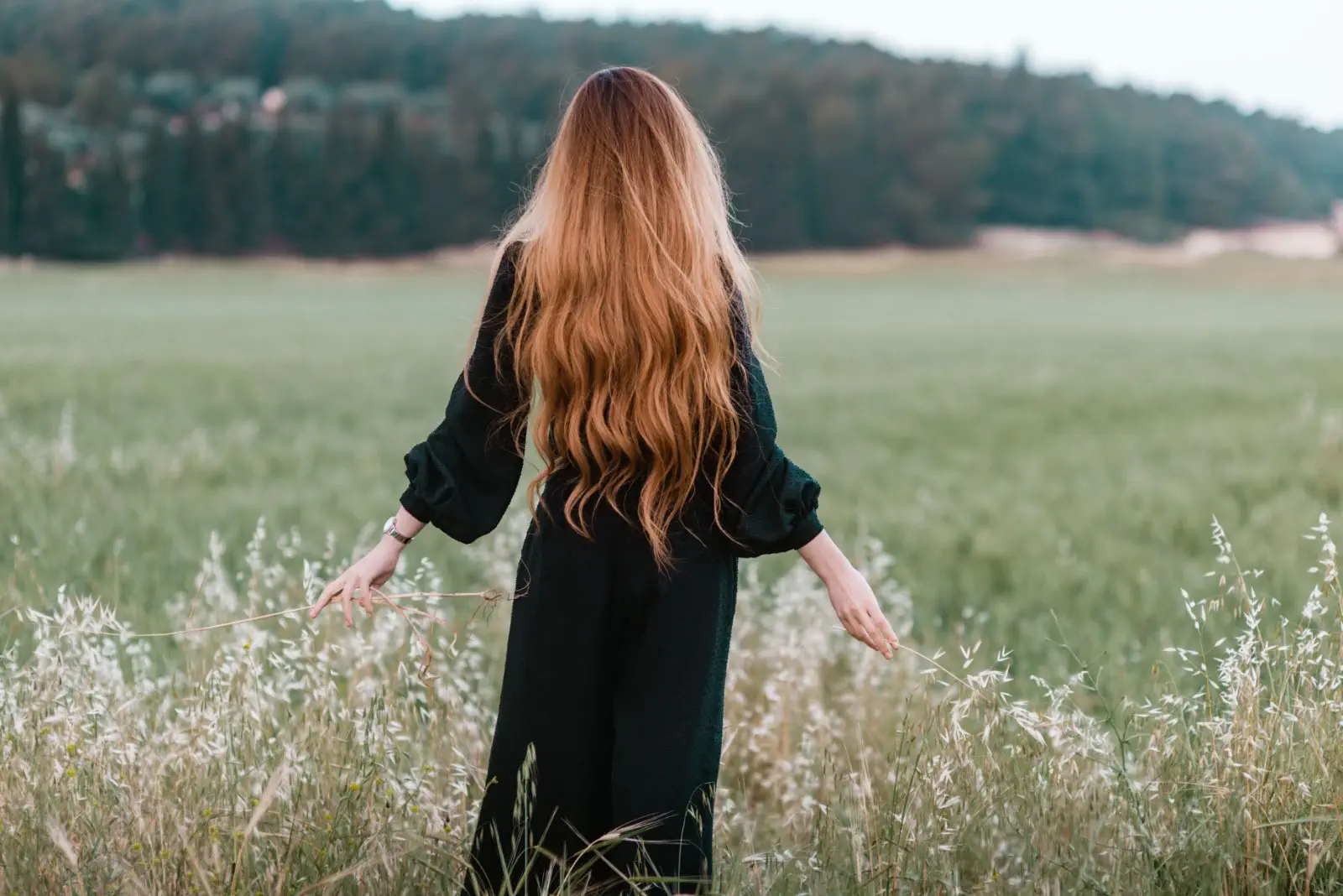 Image credit: Unsplash | Rana Sawalha