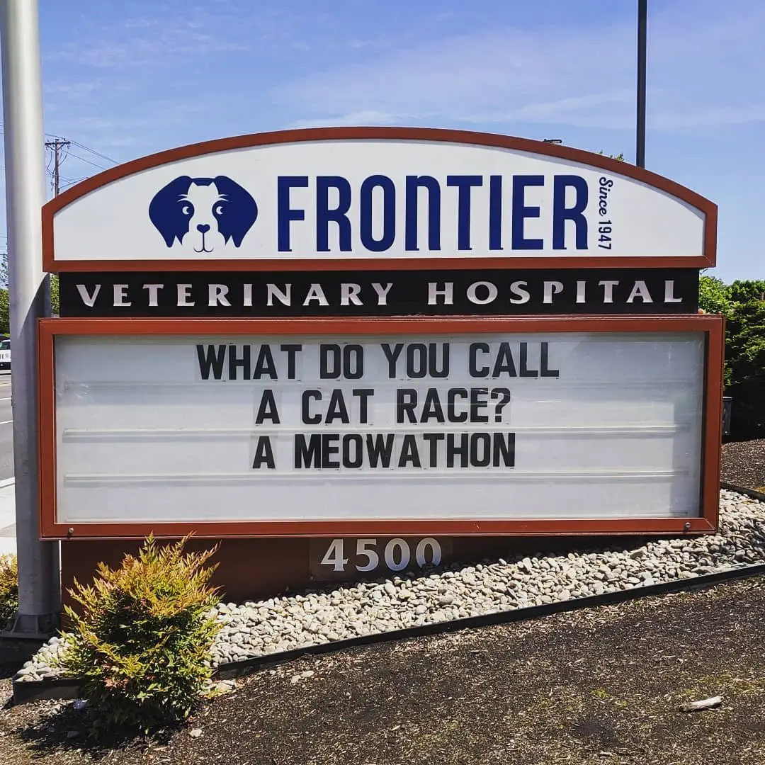 Image credit: Instagram | @frontiervet