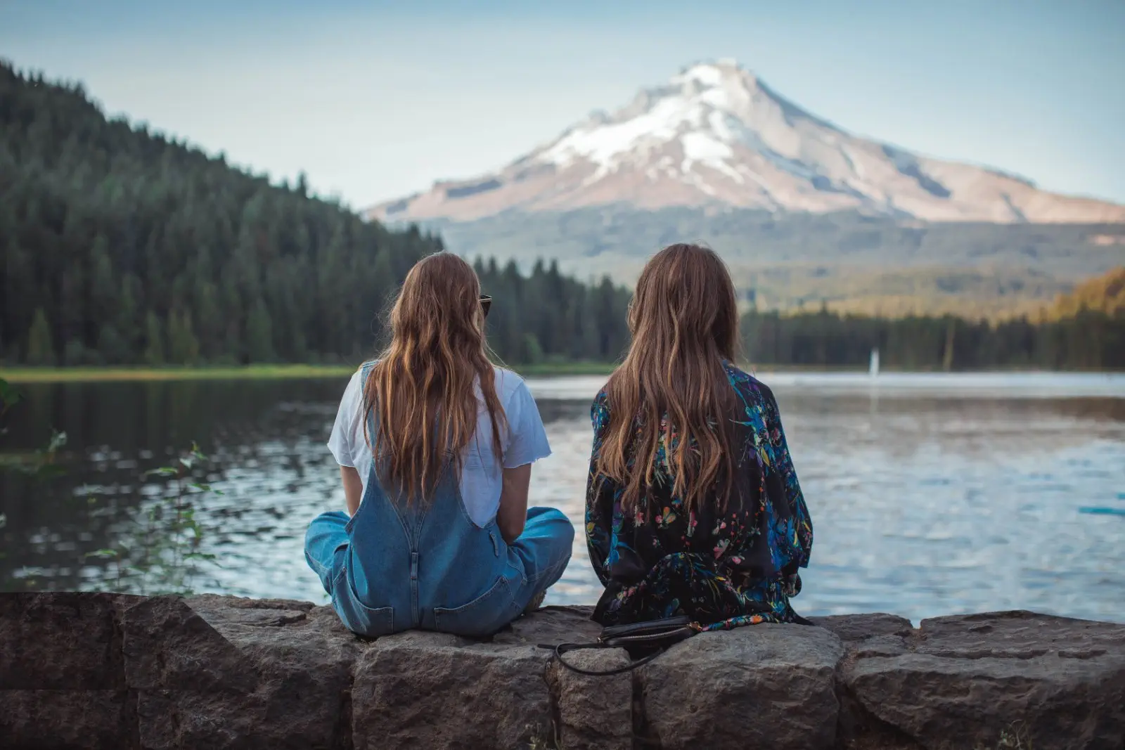 Image credit: Unsplash | Roberto Nickson