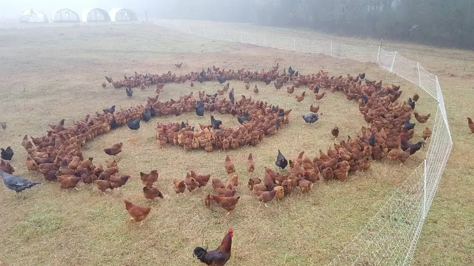 Image credit: Reddit | GallowBoob