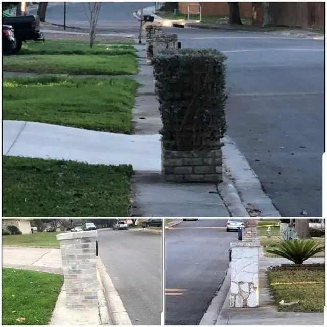 Image credit: Reddit | Smail_Mail
