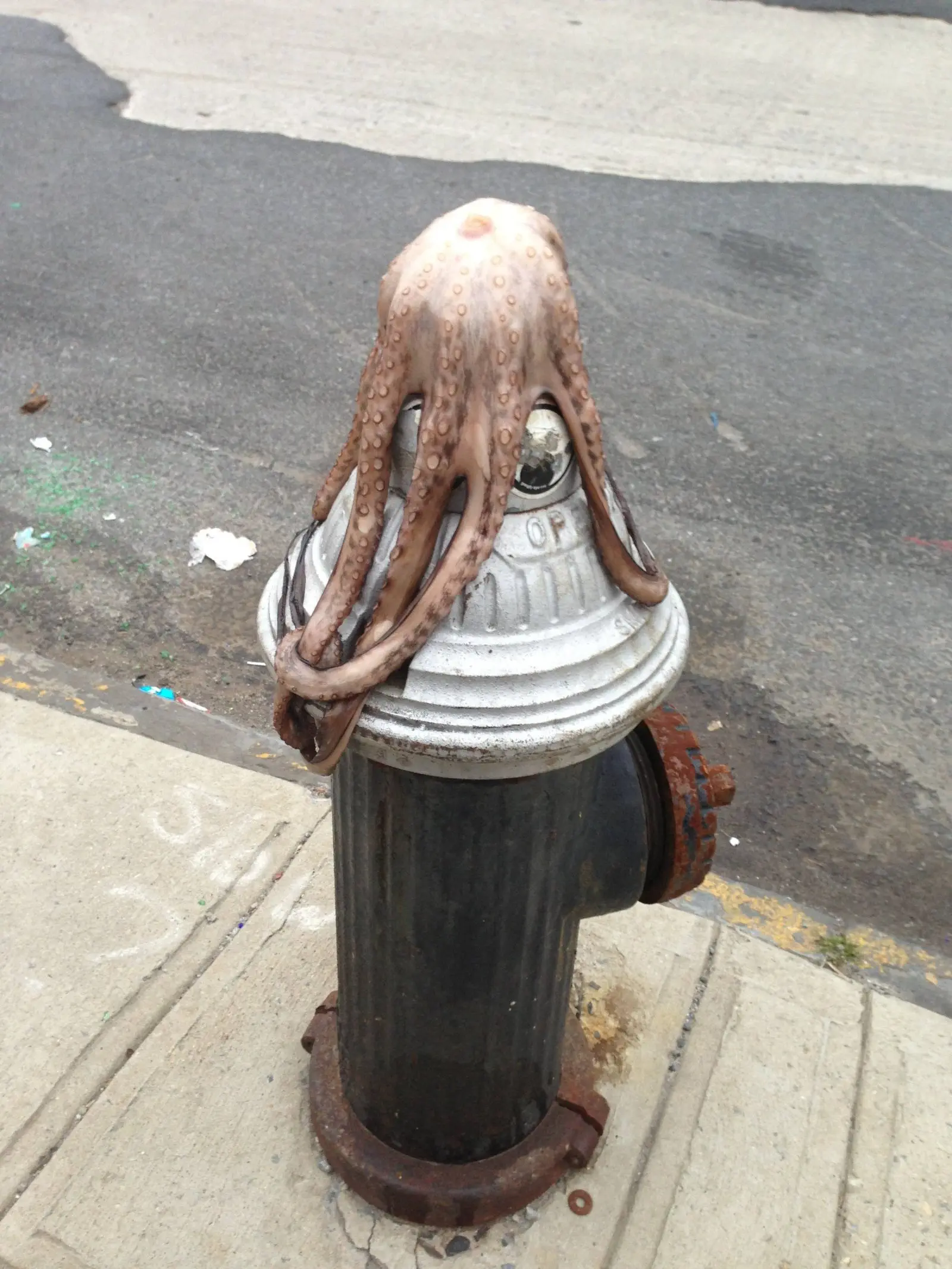 Image credit: Imgur