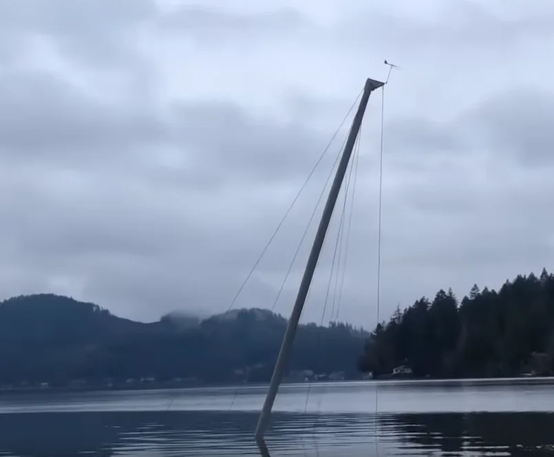 Image credit: YouTube | Samuel Ginn