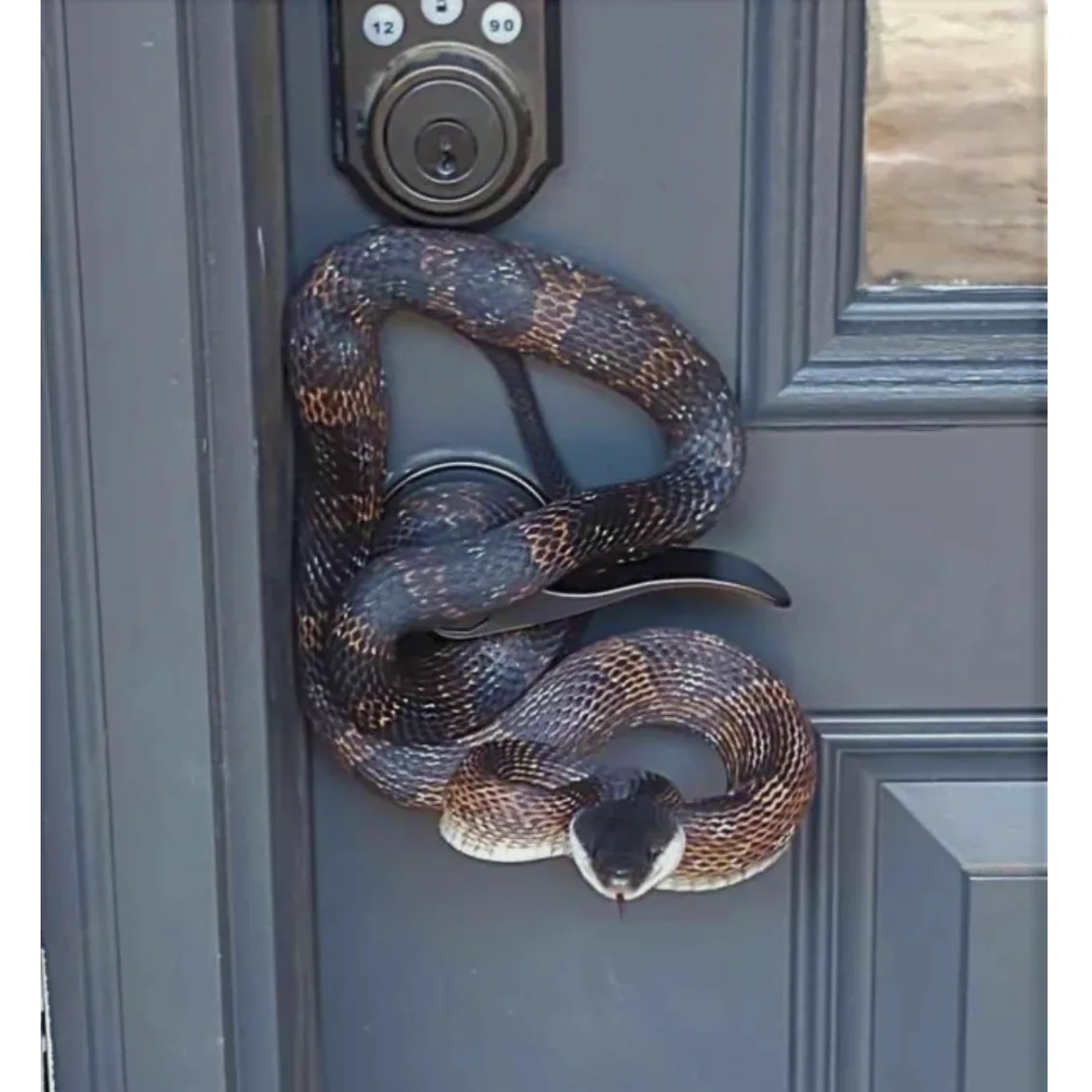 Image credit: Reddit | Fritzkreig
