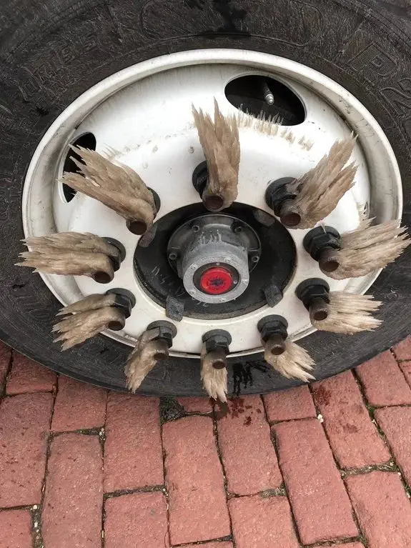 Image credit: Reddit | Arcticblew