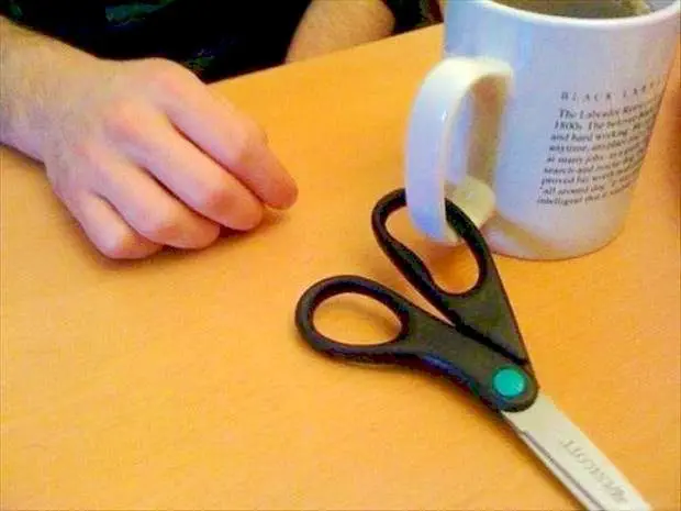 Image credit: DumpaDay | DumpaDay