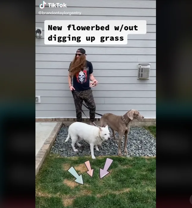 Image credit: TikTok | @brandontgentry
