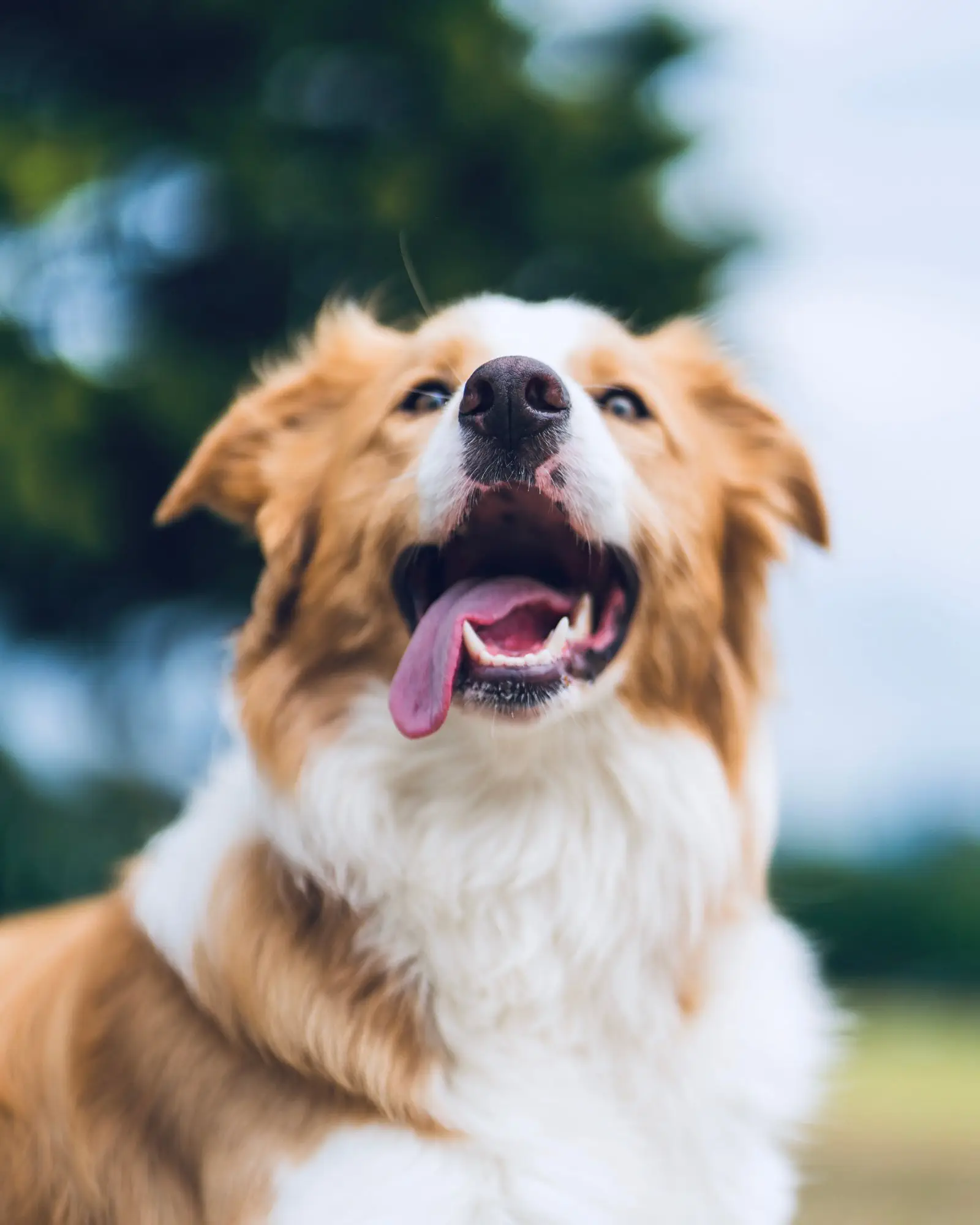 Image credit: Unsplash | Hendo Wang