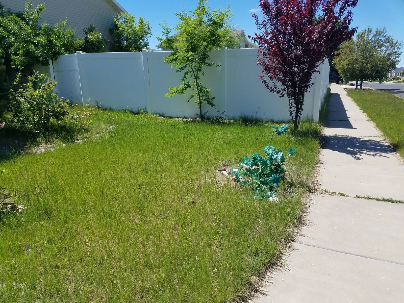 Image credit: Reddit | Slidersawesome