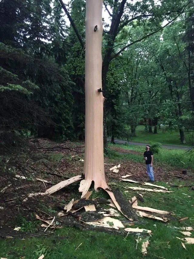Image credit: Reddit | Alicatscat
