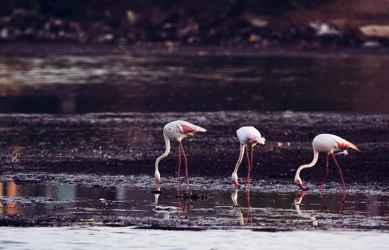 Image credit: Unsplash | Vivek Doshi