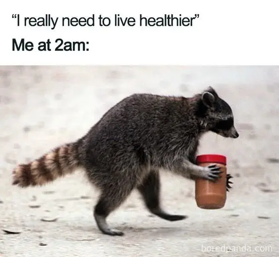 Image credit: Bored Panda