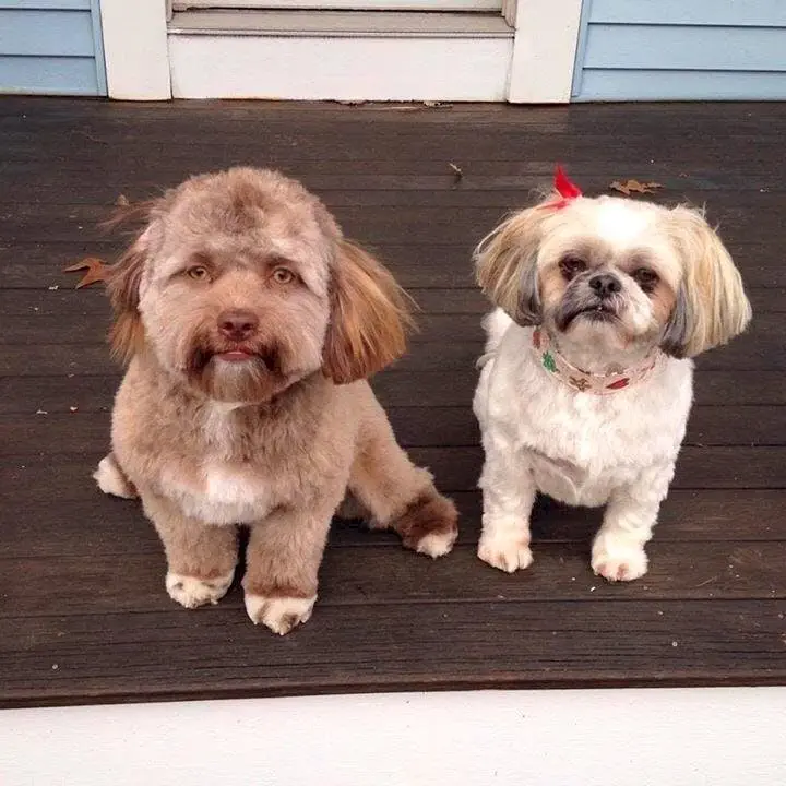 Image credit: Reddit | emceegrath
