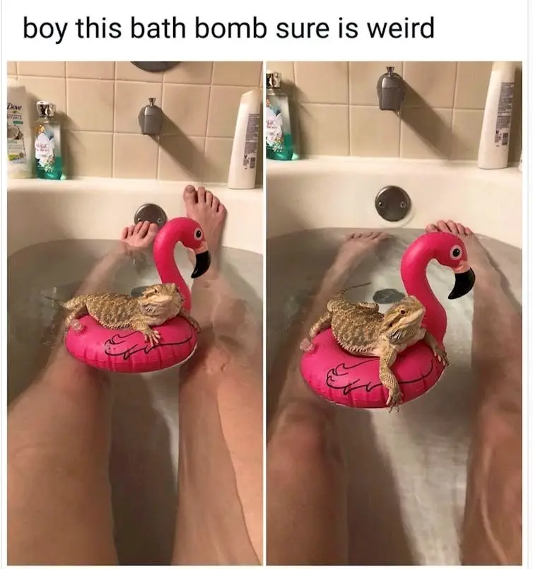 Image credit: Imgur | redheadedgremlin