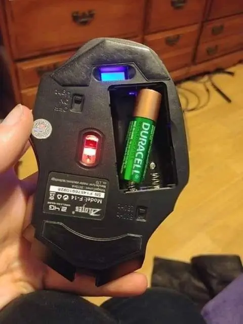 Image credit: Reddit | CynophobicDog