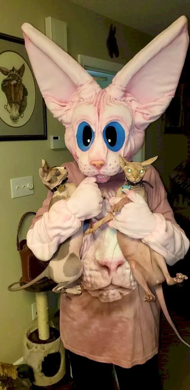 Image credit: Reddit | Missfreckles337