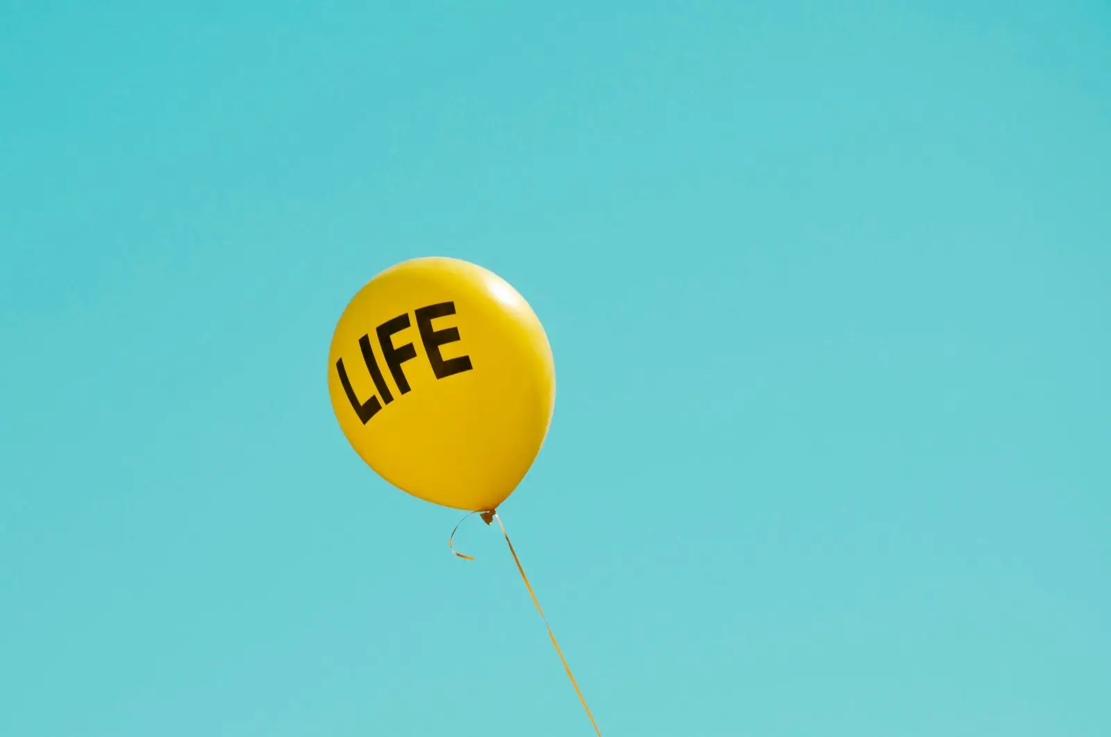 Image credit: Unsplash | Maria Oswalt