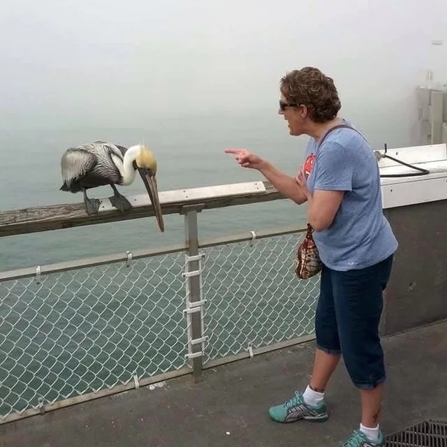 Image credit: Reddit | slummyoracle