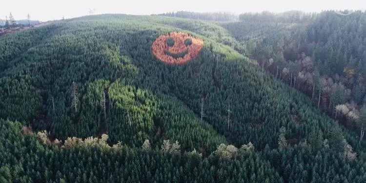 Image credit: Woolybugger00