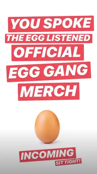 Image credit: Instagram | @world_record_egg