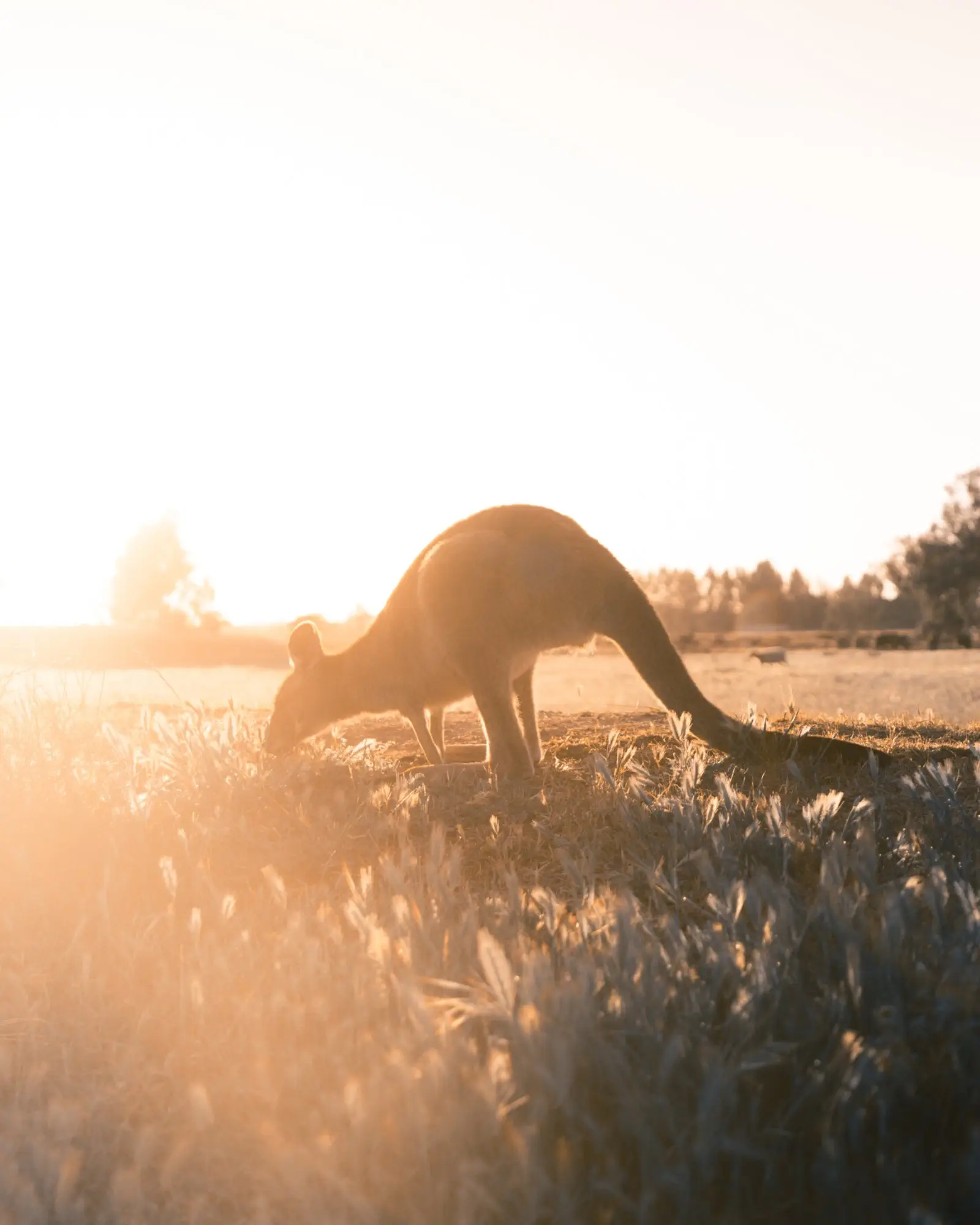 Image credit: Unsplash | Christopher Burns