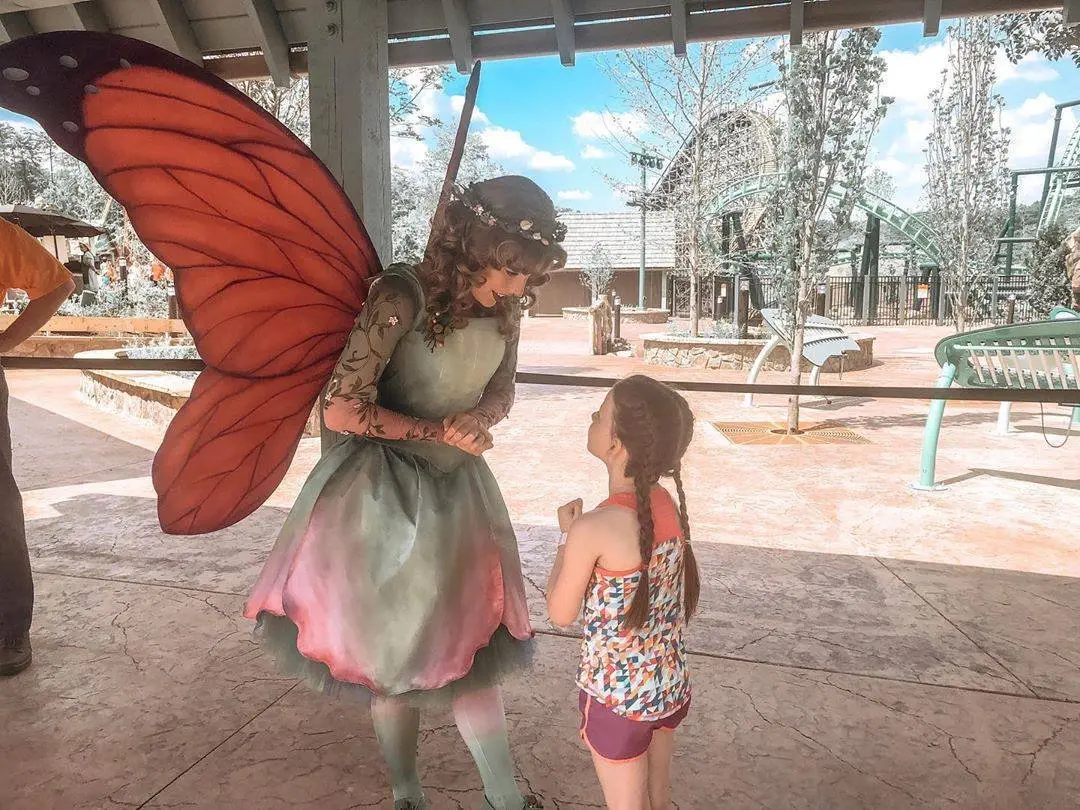 Image credit: Facebook | Dollywood