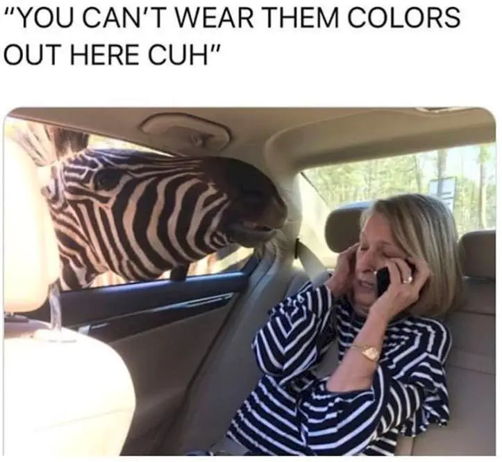 Image credit: Instagram | @bruhifunny
