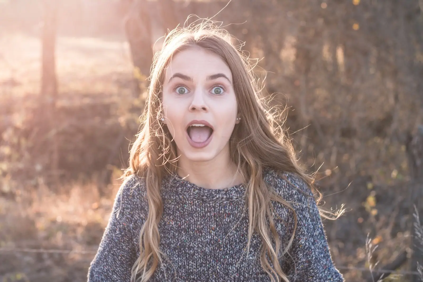 Image credit: Unsplash | Colton Sturgeon