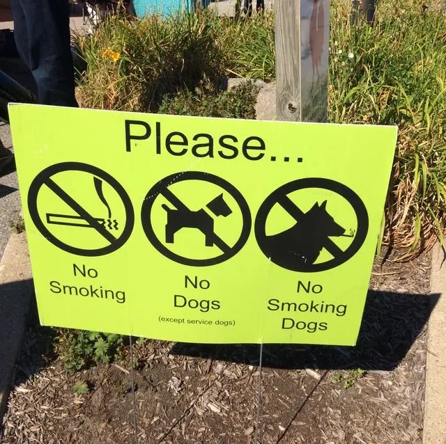 Image credit: Reddit | u/SeniorFuzzyPants