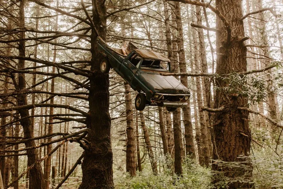 Image credit: Reddit | folly136