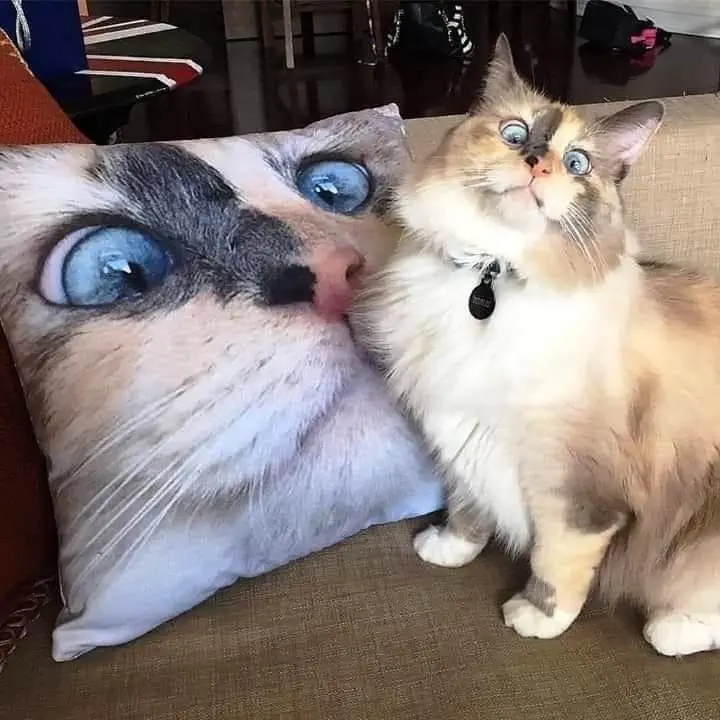 Image credit: Reddit | AndriaMeza