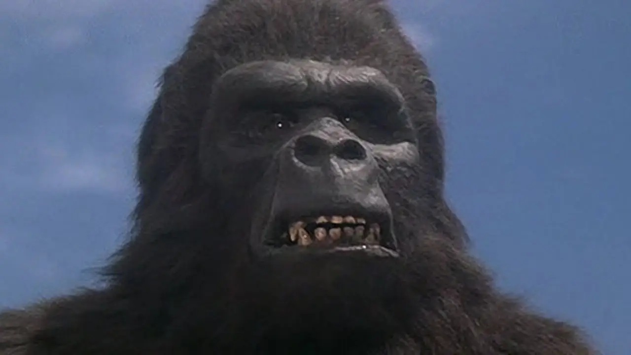 Image credit: IMDb