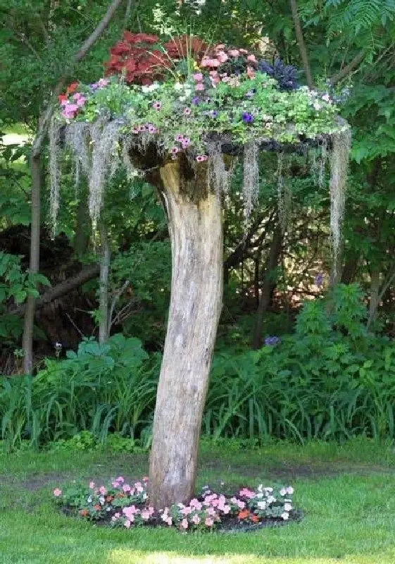 Image credit: Pinterest