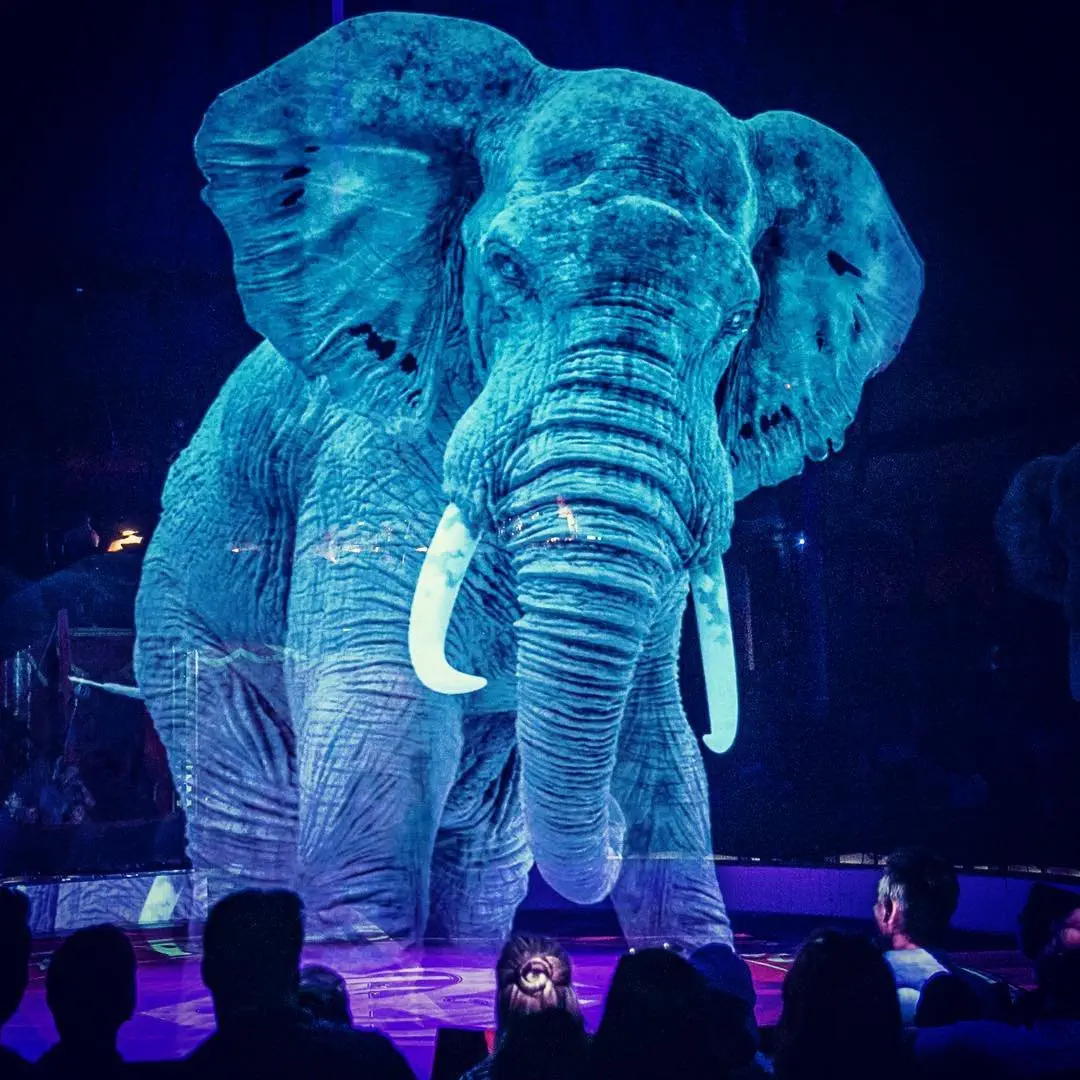 Image credit: Instagram | @circustheaterroncalli