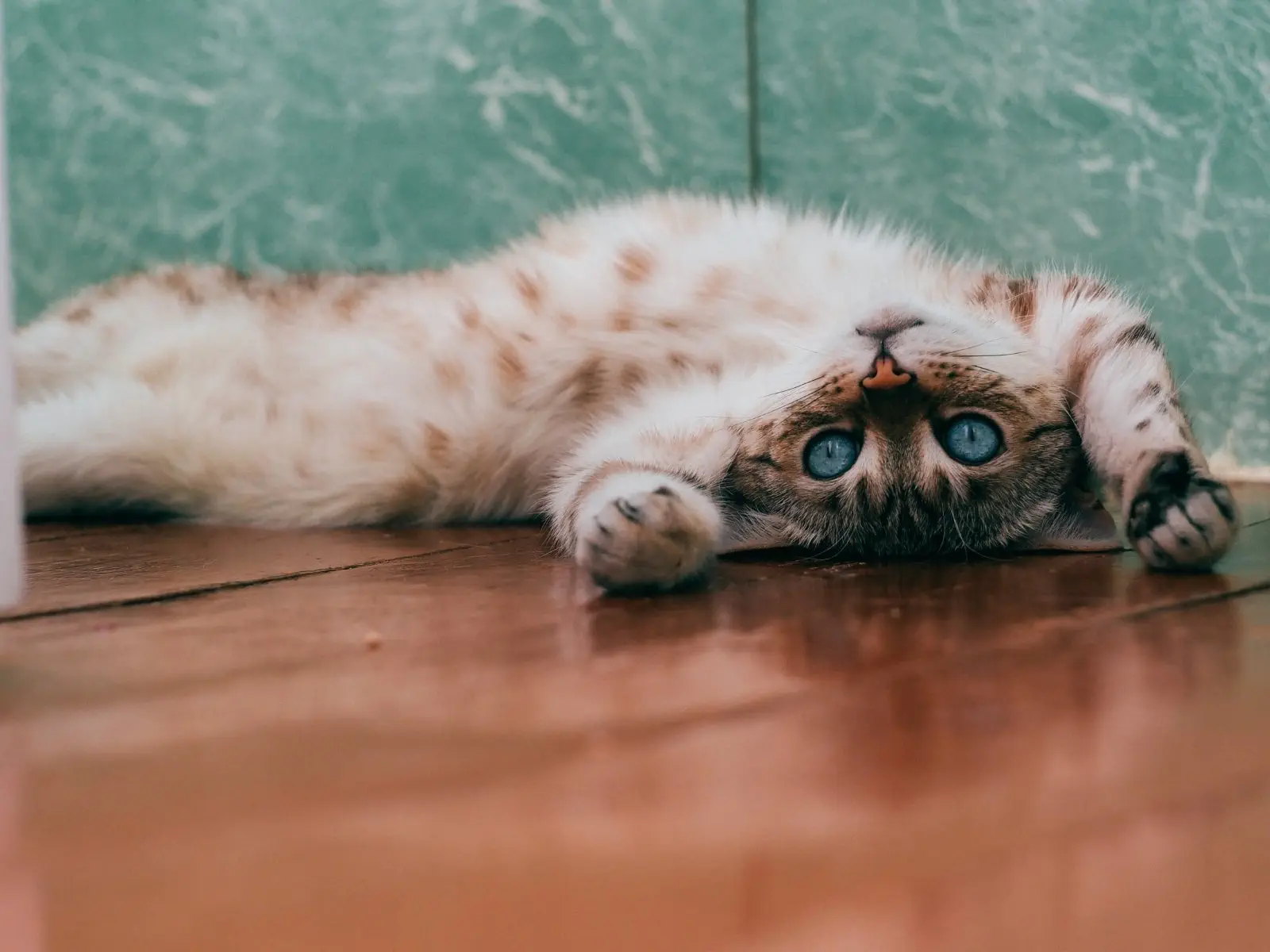 Image credit: Unsplash | Daria Shatova
