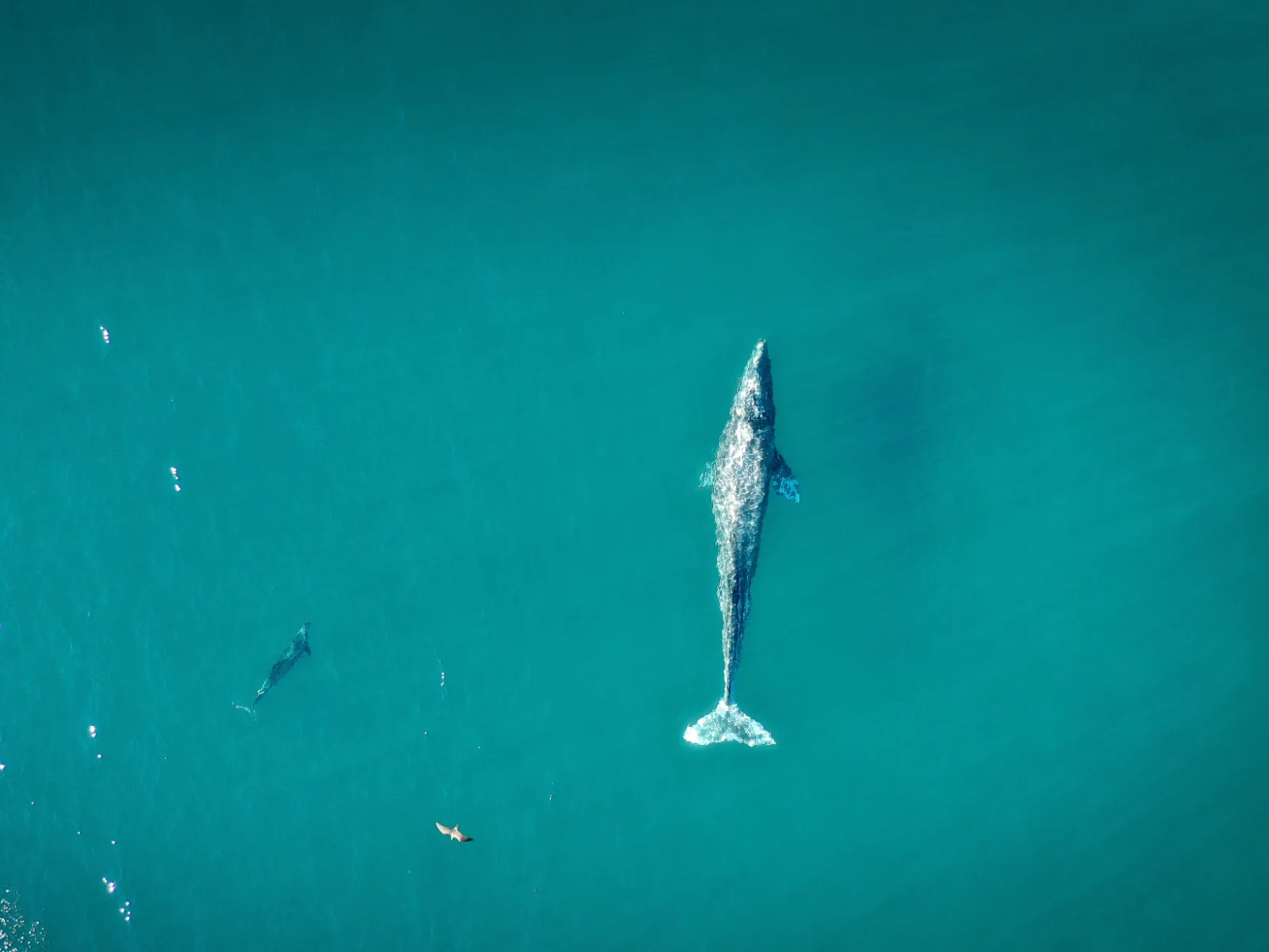 Image credit: Unsplash | Cameron Venti