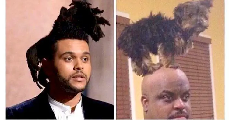 Image credit: reddit | lessons_learnt