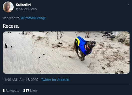 Image credit: Twitter | @SailorAileen