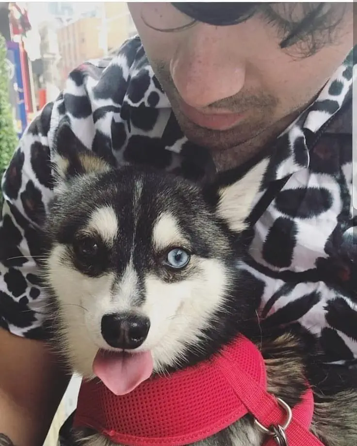 Image credit: Instagram | @joejonas
