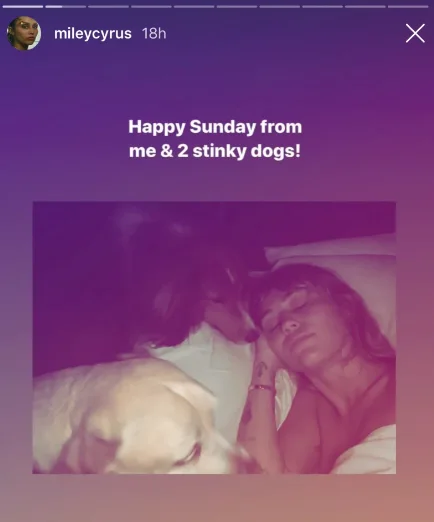 Image credit: Instagram | @mileycyrus