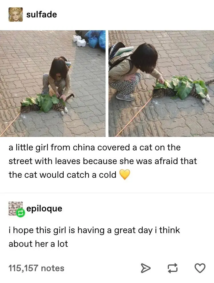 Image credit: Reddit | whereisthesushi