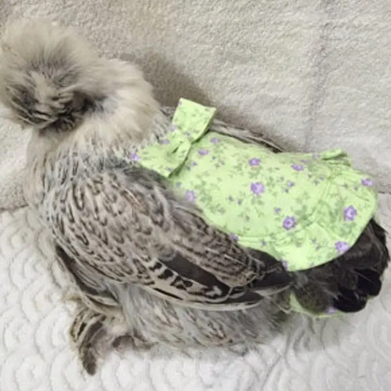 Image credit: Etsy | PamperYourPoultry
