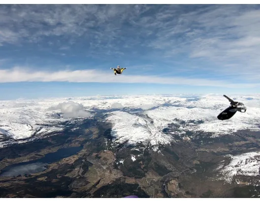 Image credit: Reddit | SkydiveShady