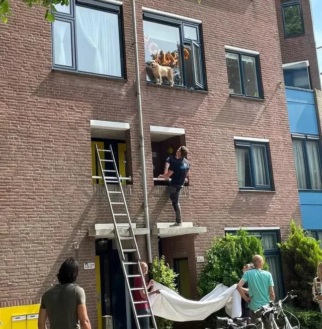 Image credit: Reddit | Vaagobert